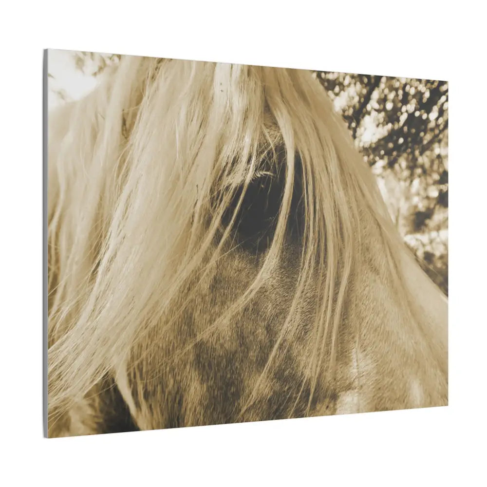 Equine Elegance Matte Canvas Art - Stretched Horse Wall Decor - Canvas