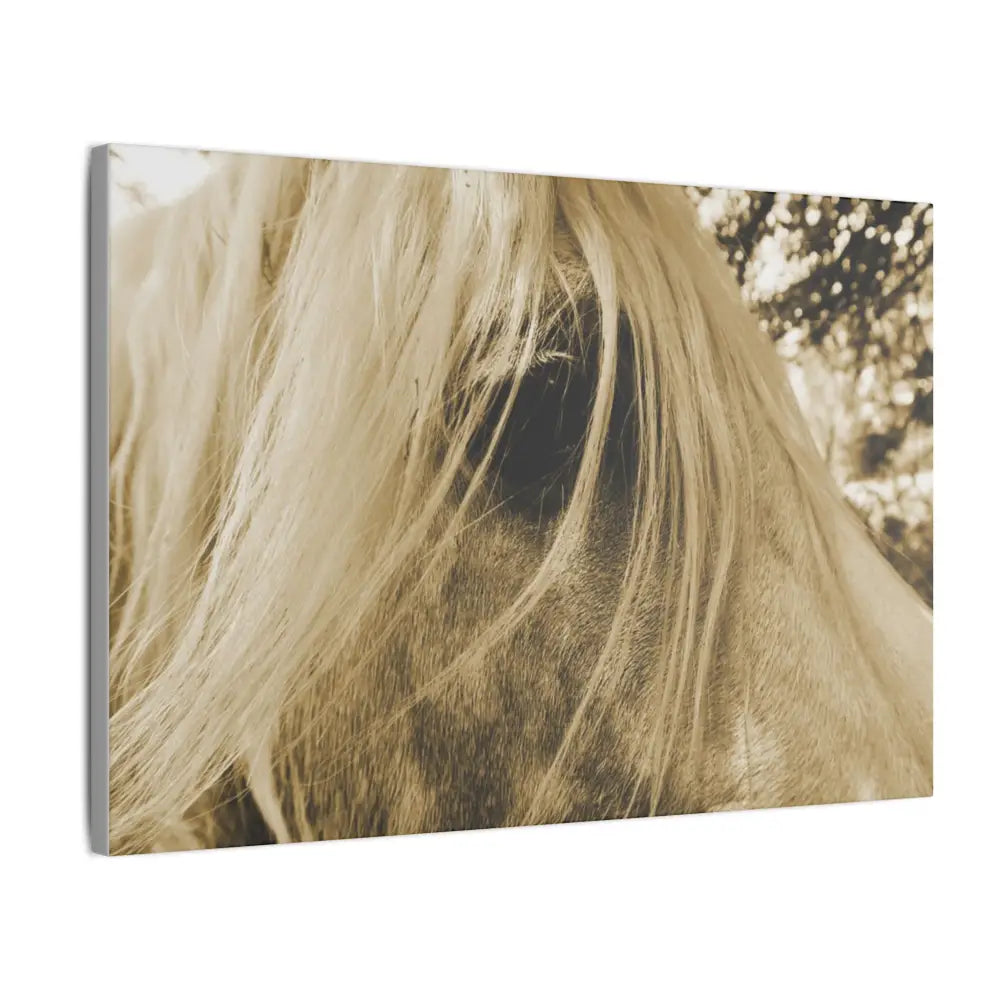 Equine Elegance Matte Canvas Art - Stretched Horse Wall Decor - Canvas