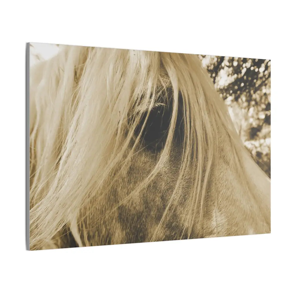 Equine Elegance Matte Canvas Art - Stretched Horse Wall Decor - Canvas