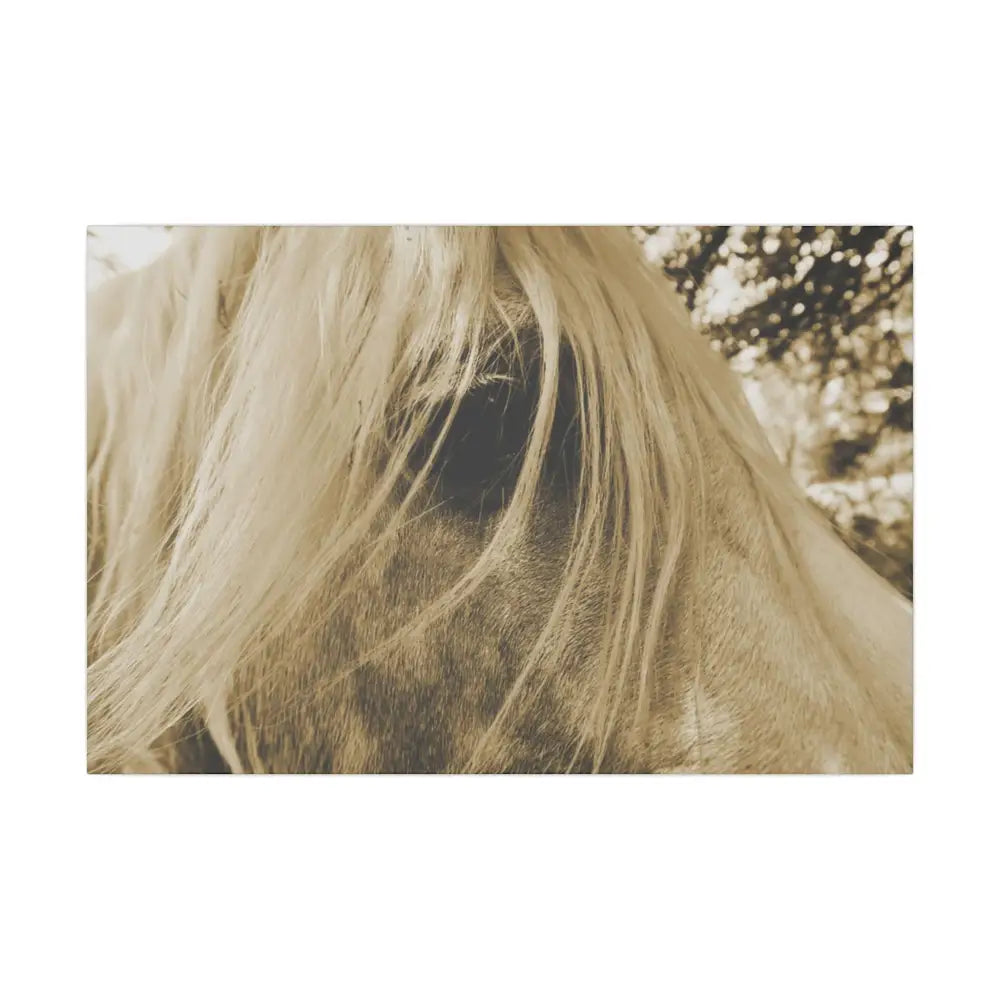 Equine Elegance Matte Canvas Art - Stretched Horse Wall Decor - 24″ x 16″ (Horizontal) / 0.75’’ - Canvas