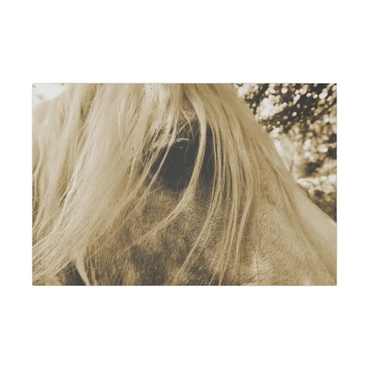 Equine Elegance Matte Canvas Art - Stretched Horse Wall Decor - 30″ x 20″ (Horizontal) / 0.75’’ - Canvas