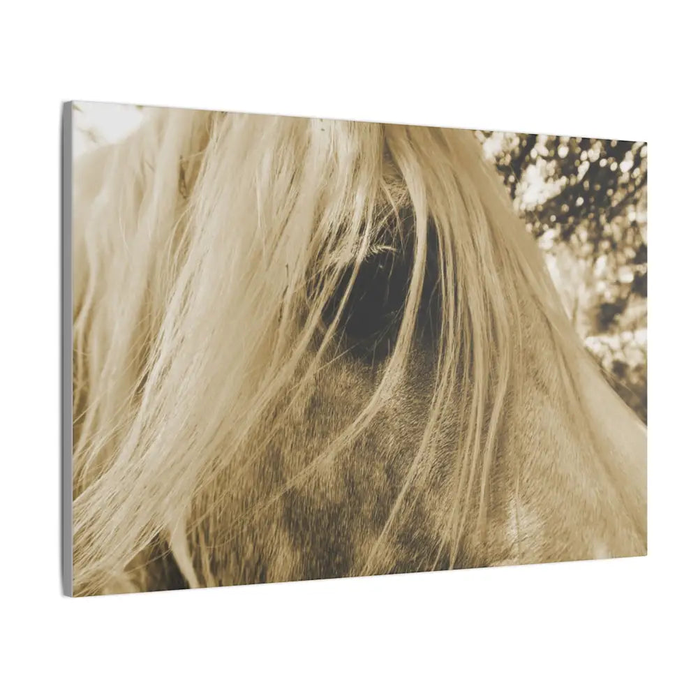 Equine Elegance Matte Canvas Art - Stretched Horse Wall Decor - Canvas